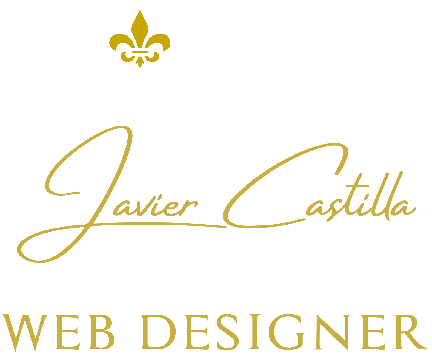 Diseño y desarrollo de sitios web Javier Castilla Web Designer